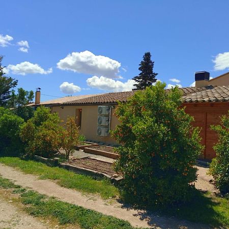 Apartment With Private Pool And Garden San Martín Sarroca Zewnętrze zdjęcie
