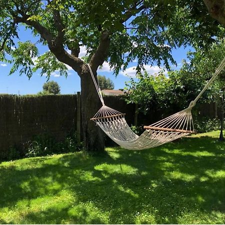 Apartment With Private Pool And Garden San Martín Sarroca Zewnętrze zdjęcie
