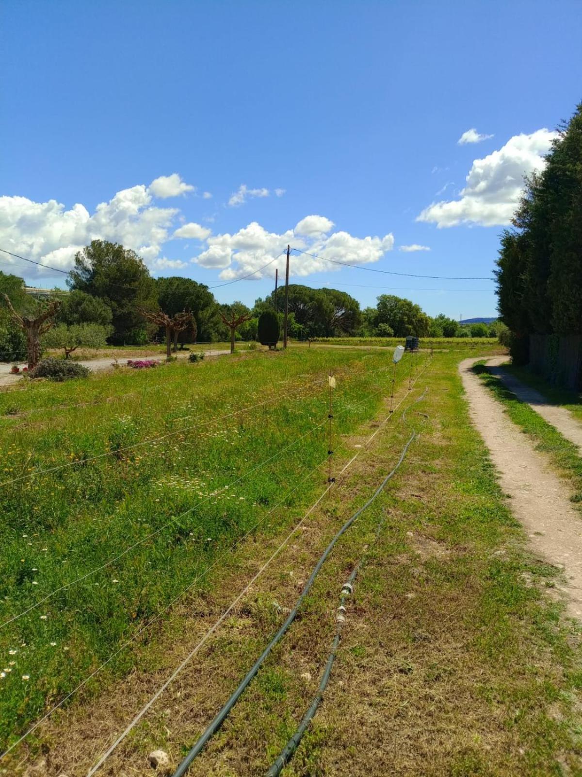 Apartment With Private Pool And Garden San Martín Sarroca Zewnętrze zdjęcie